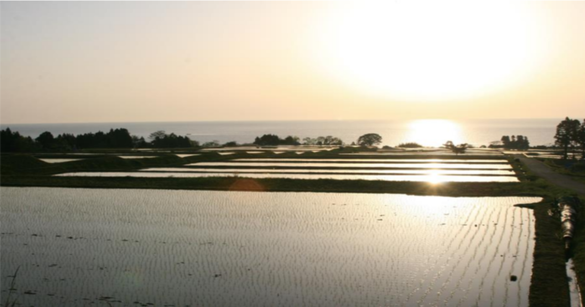 能登で体験するSDGs