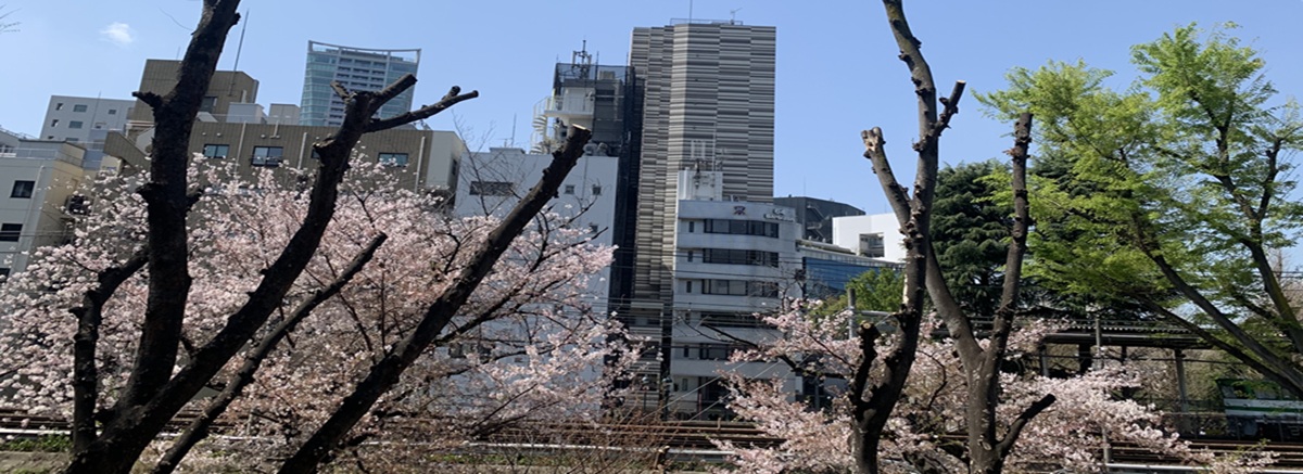 アクセス/連絡先